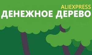 money-tree-aliexpress-300x180