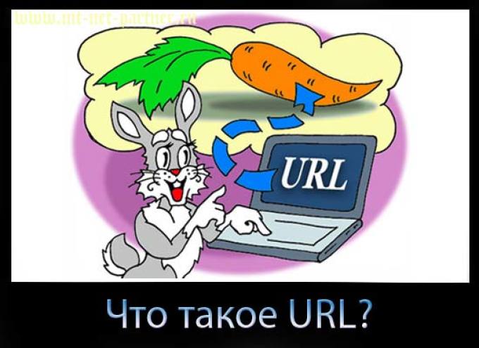 Images urls pictures. URL. URL картинки. ШКД. Что такое урл.