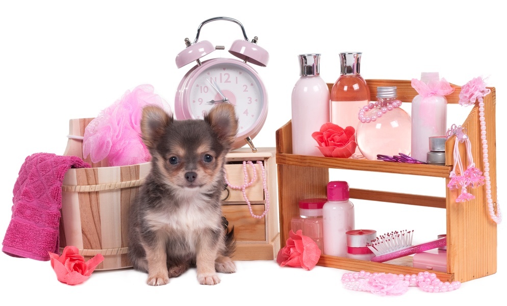 Care Products for Dogs on Ali Spress