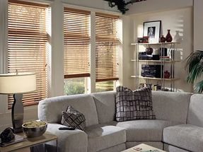 Blinds for the living room